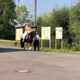 Trauung Kloster Nimbschen - Ankunft der Braut mit Pferd
