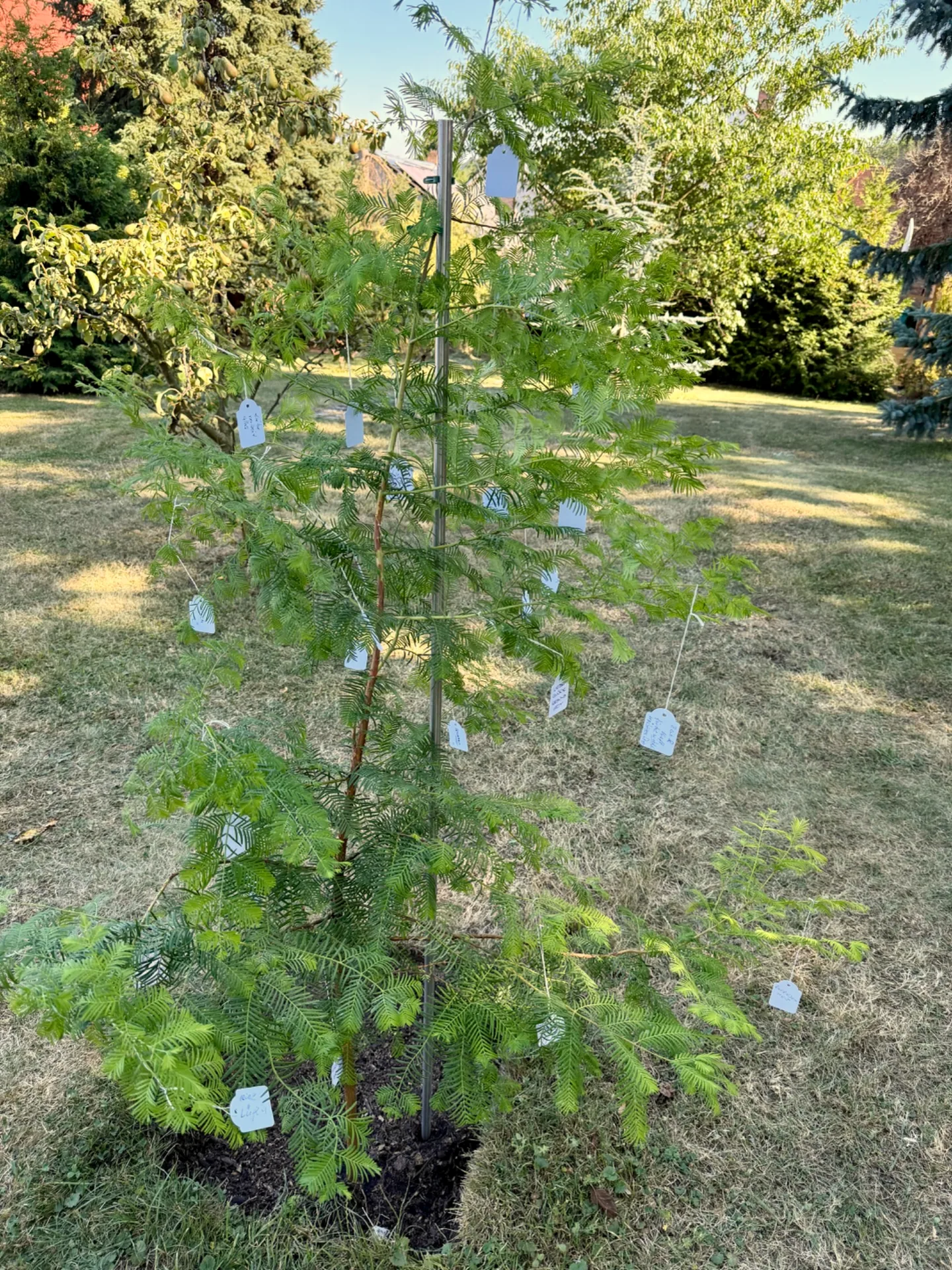 Wunschbaum mit guten Wünschen für Gertraud und Bernd zur Diamantenen Hochzeit